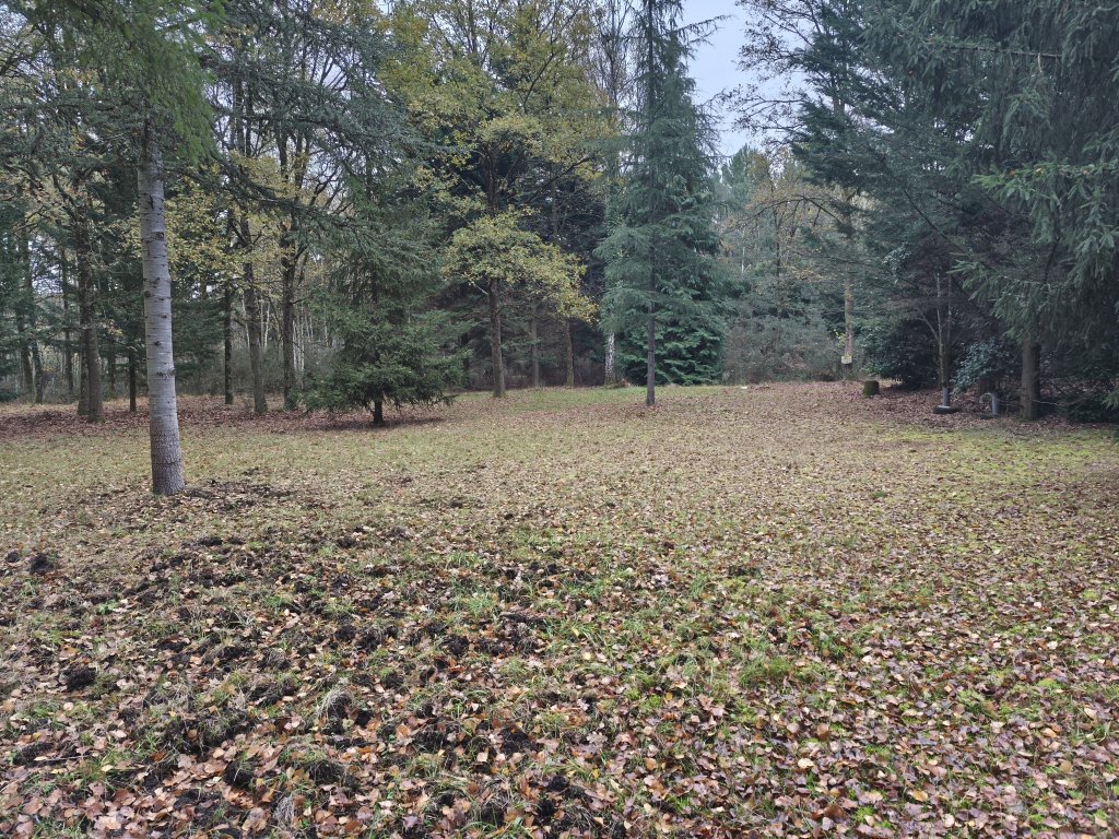 TERRAIN DE LOISIR EN FORET AU PIED DU CIRCUIT DES 24H