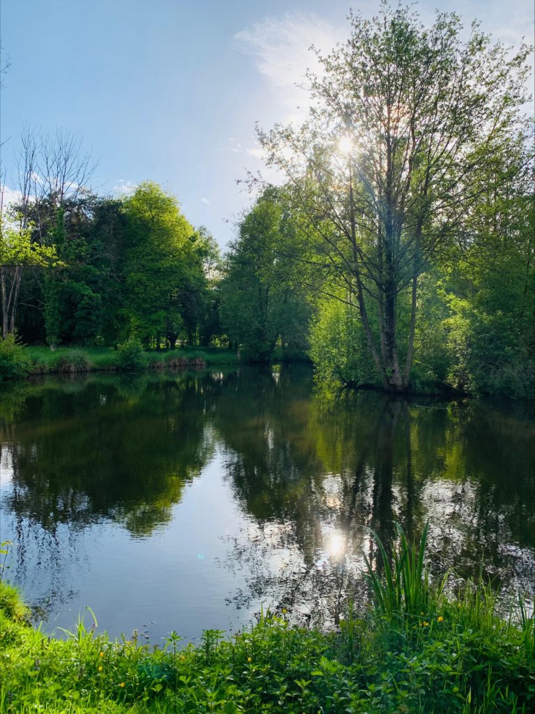 TERRAIN DE LOISIR AVEC ETANG ET CHALET AMENAGE 32M2